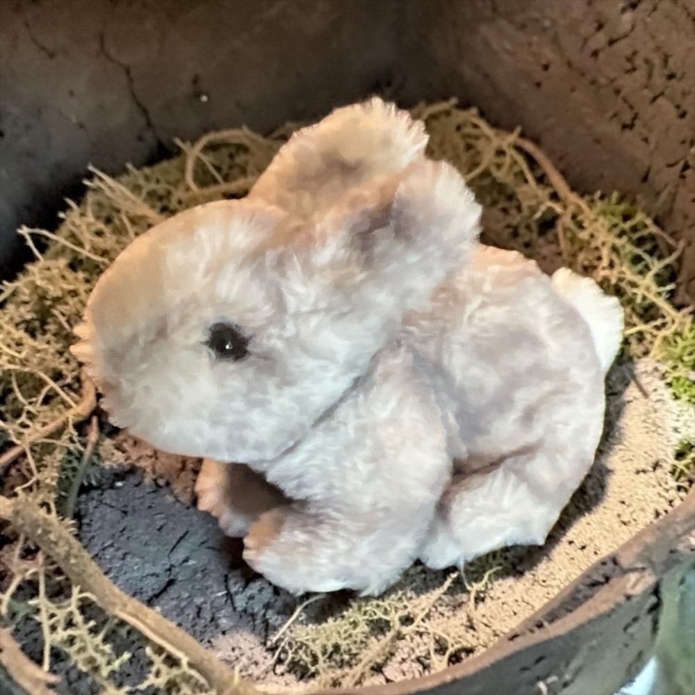 Douglas Gray Bunny Rabbit Plush Stuffed Animal 6" Mini Soft Toy
